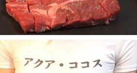 큰가슴을 무기로 대놓고 앞광고하는 일본 유튜버