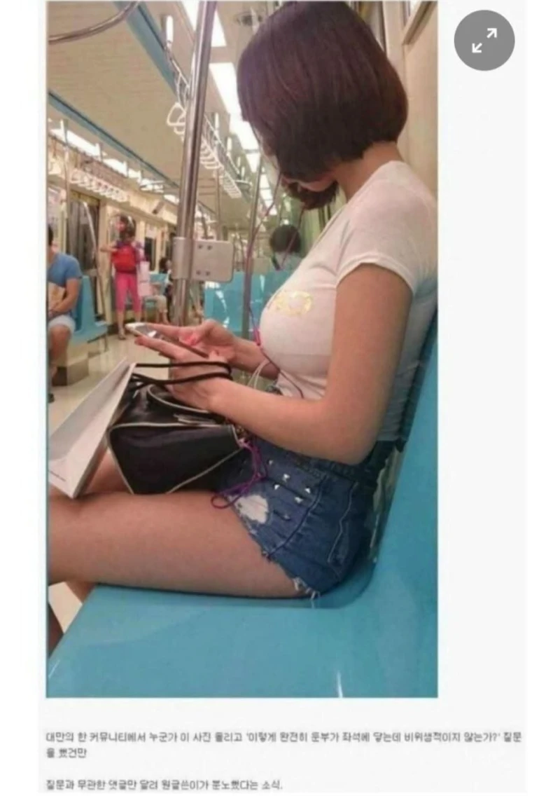 대만 지하철 비위생녀 논란
