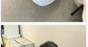 ssg 치어리더 슴 크기ㄷㄷ
