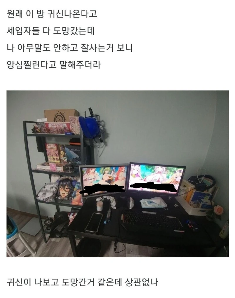 ㅇㅎ) 사실 귀신 나오는 집이였다고 양심고백한 집주인