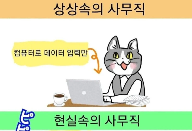 ㅇㅎ) 상상속의 사무직 vs 현실속의 사무직 