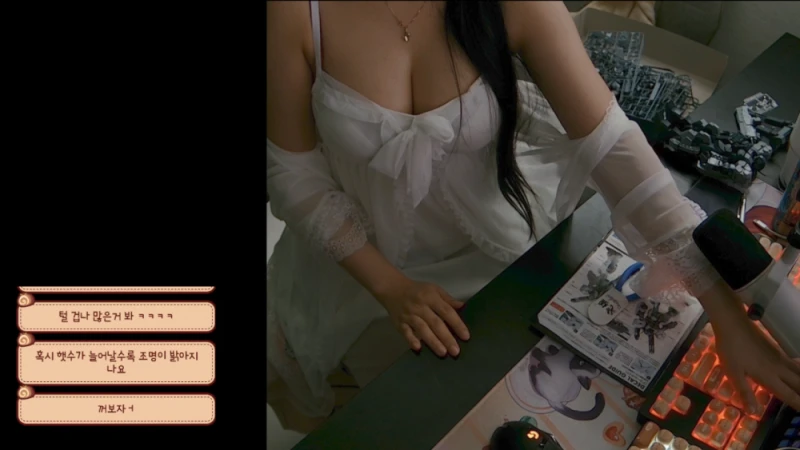 수상할 정도로 남자 시청자들이 많은 건담 조립녀 방송-2