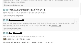 게임 캐릭터 가슴 크기 줄여서 유저 폭동났던 사건