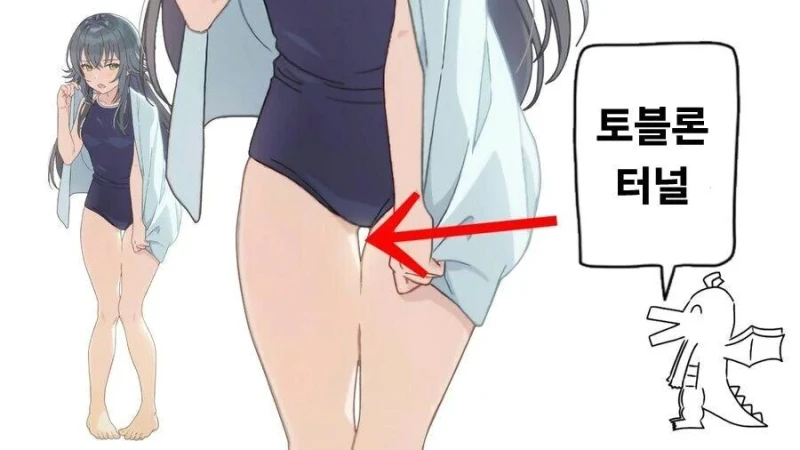 의외로 부르는 명칭이 있는 여자 신체 부위
