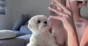 강아지야 제발 좀 비켜줄래