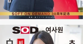 큰 거 온다.. SOD 30주년 기념 작품