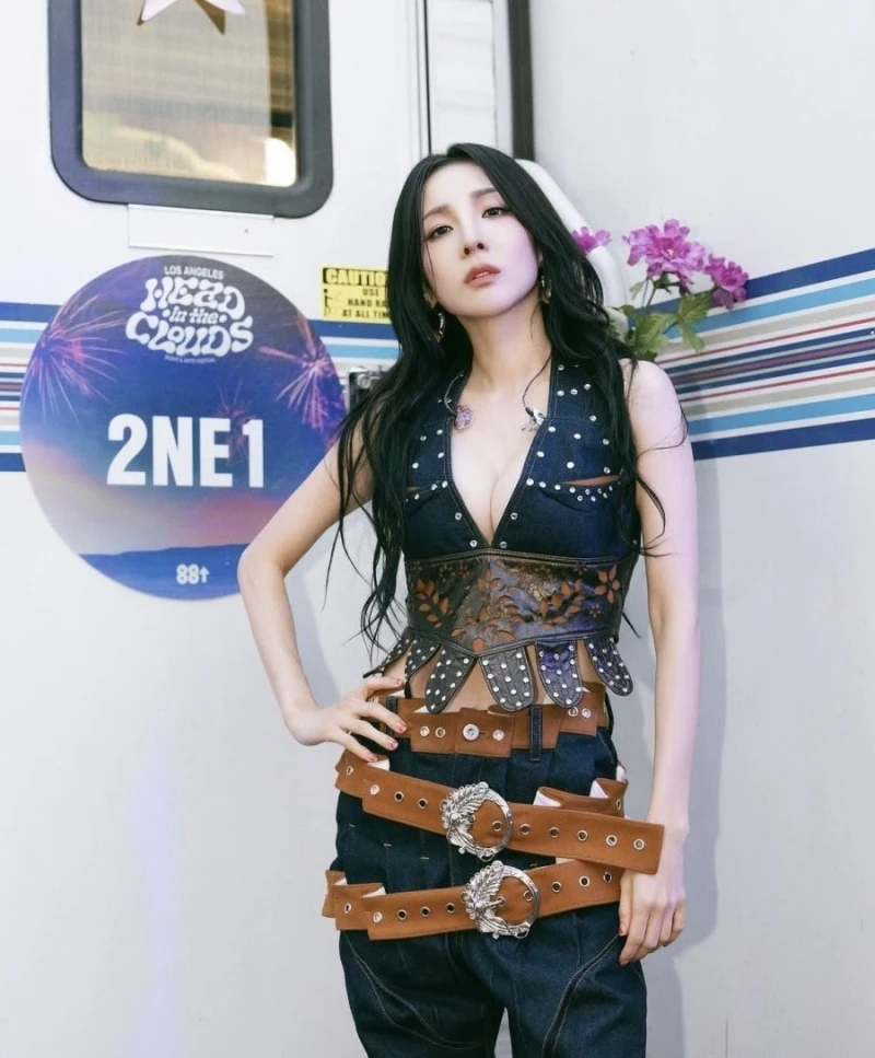 산다라박 가슴 크기가... 원래 이정도였나??-5