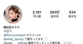 현재 아스카 키라라가 하고 있는 사업들 