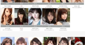 나이마다 갈린다는 AV S1 단일시즌