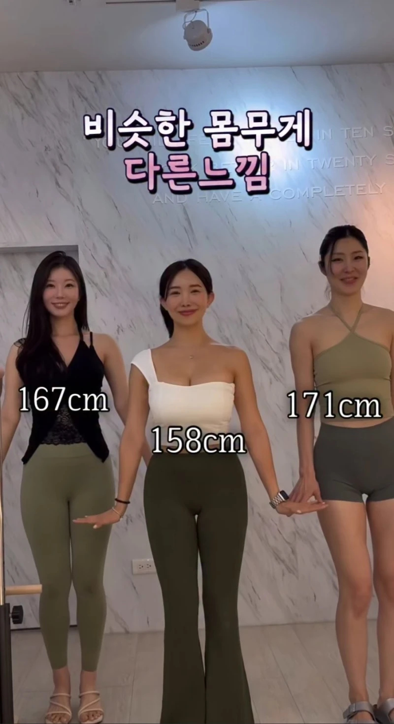 비슷한 몸무게.. 다른 느낌