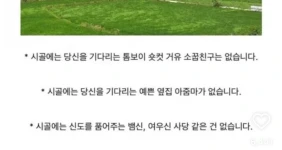 의외로 시골에 없는것