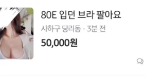 당근에 올라온 가슴 사이즈 80E컵녀의 매물