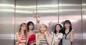 송하영 goal