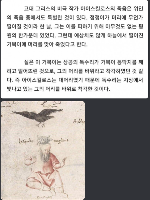 비극적으로 죽은 비극 작가