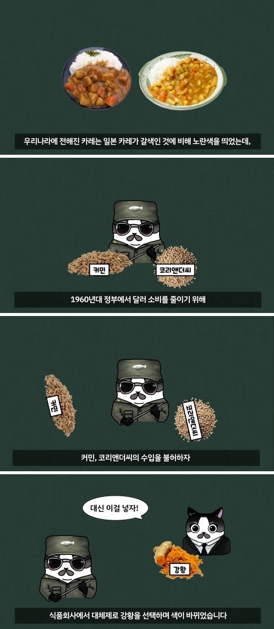한국 카레는 왜 노랄까
