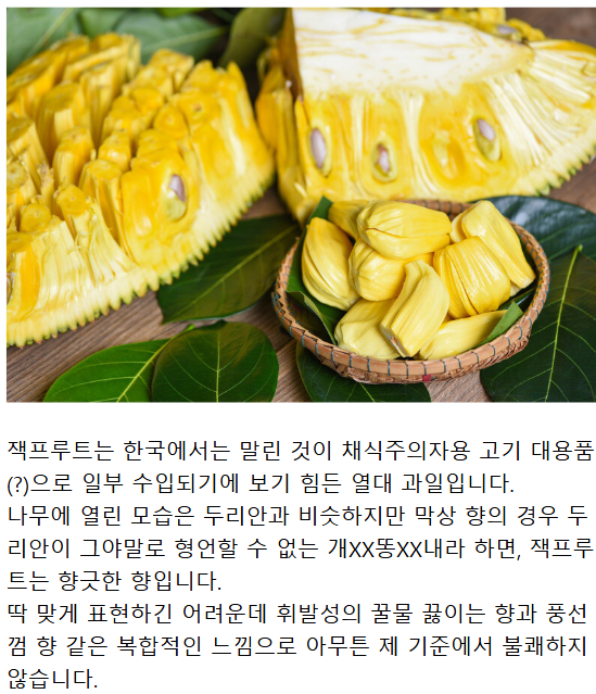 피지알 비공식 추천 과일