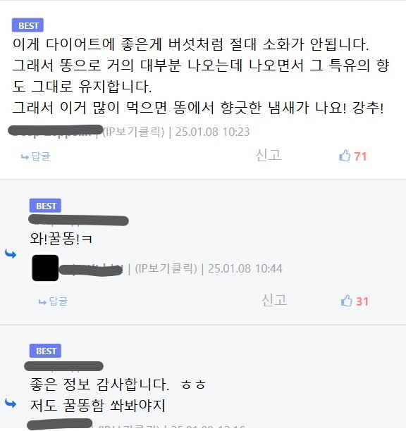 피지알 비공식 추천 과일-2