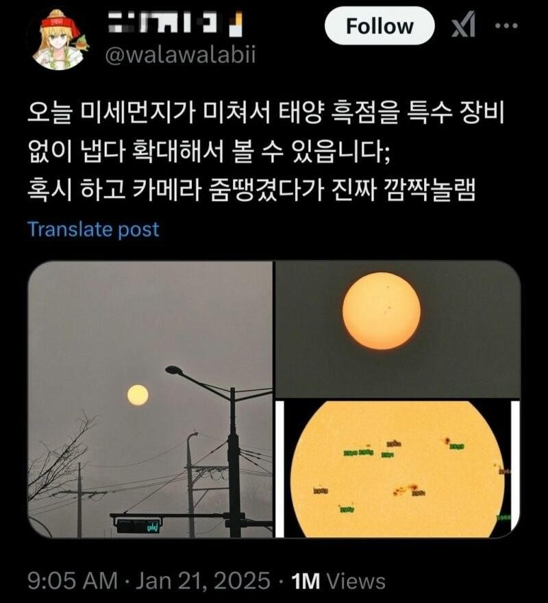 미세먼지가 심해져서 태양을 찍었다