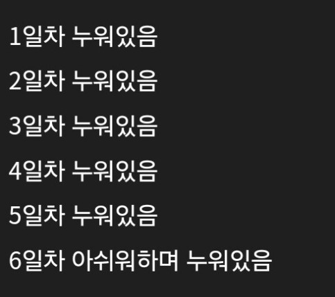 이번 설연휴 요약.jpg