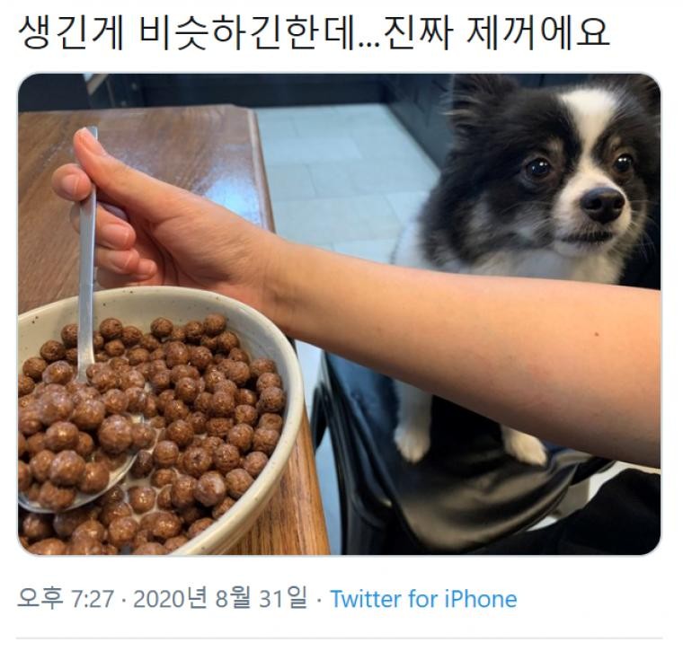 주인님 그건 내 밥입니다만-2