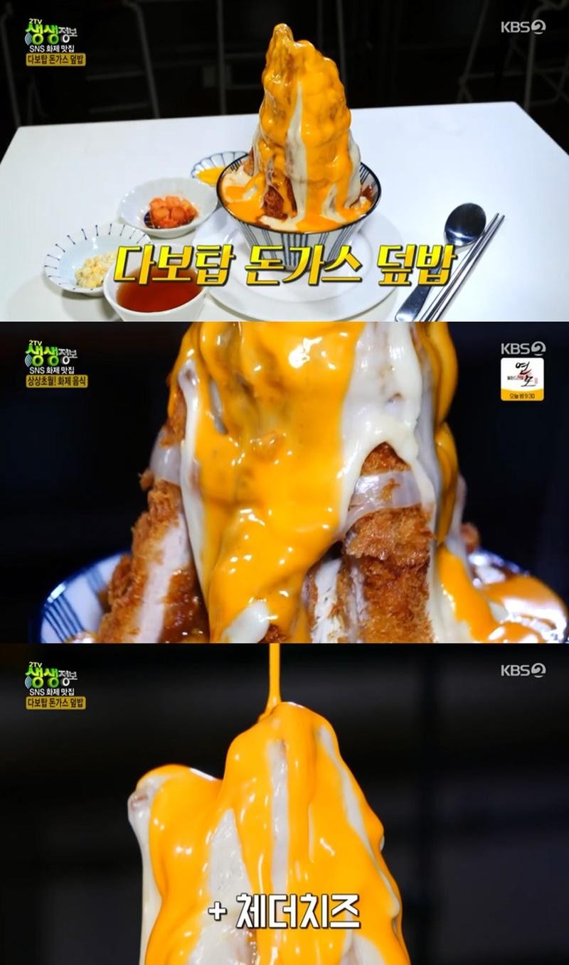 다보탑 돈가스 덮밥