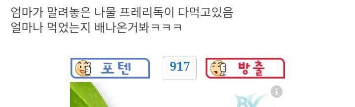 엄마오면 좃됐다..jpg-2