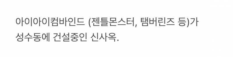현재 반응 뜨겁다는 젠틀몬스터 신사옥-14