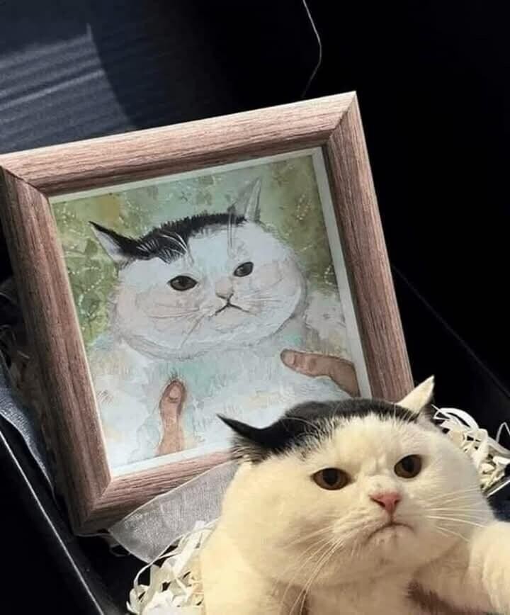 집사야, 이게 뭐냐? 하나도 안 닮았잖아!.jpg
