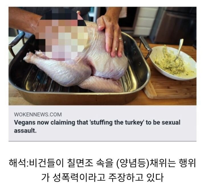 비건들이 주장하는 성폭력