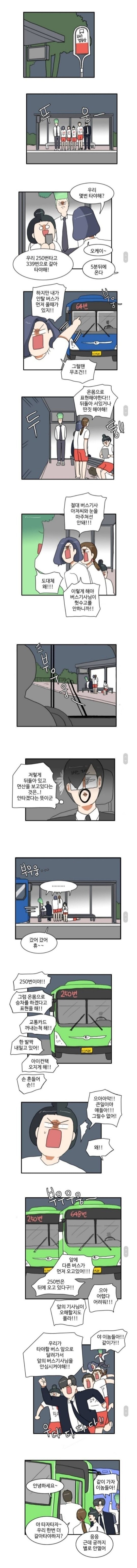 싱글벙글 한국의 버스 정류장 문화