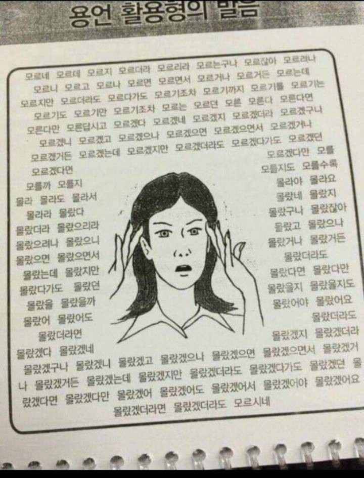한국어 배우는 외국인이 중간에 마주친다는 큰 장벽