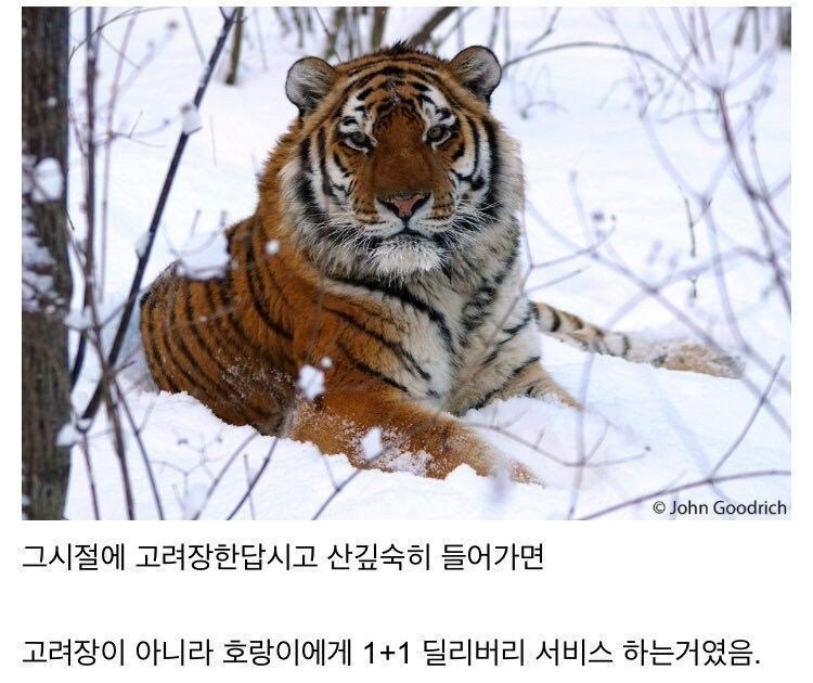 과거 한반도에서 고려장이 불가능했던 이유 