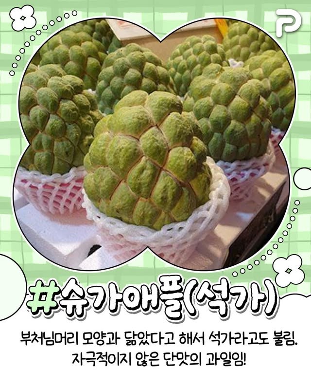 동남아 여행시 꼭 먹어봐야할 과일 리스트