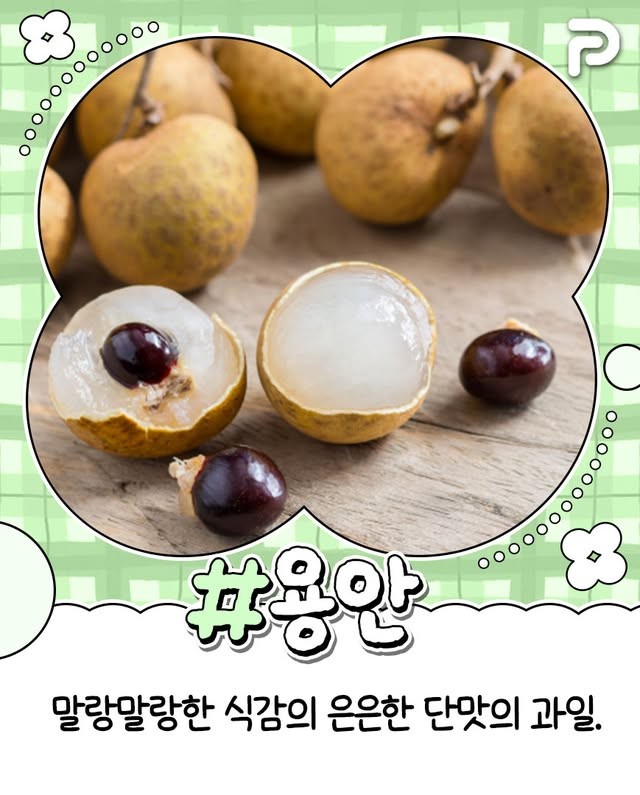 동남아 여행시 꼭 먹어봐야할 과일 리스트-2