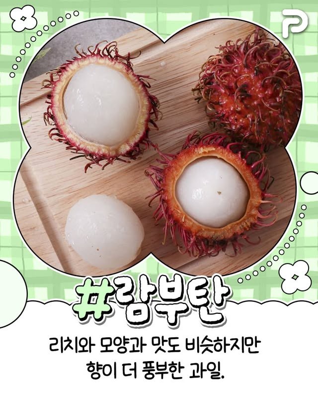 동남아 여행시 꼭 먹어봐야할 과일 리스트-5