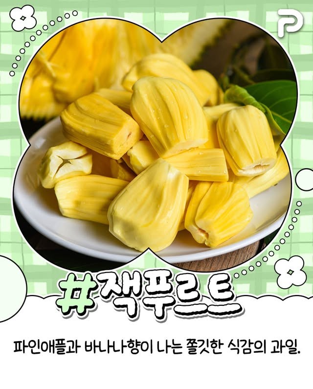 동남아 여행시 꼭 먹어봐야할 과일 리스트-6