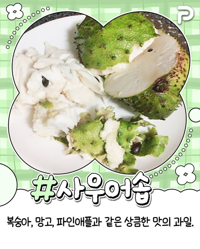 동남아 여행시 꼭 먹어봐야할 과일 리스트-7