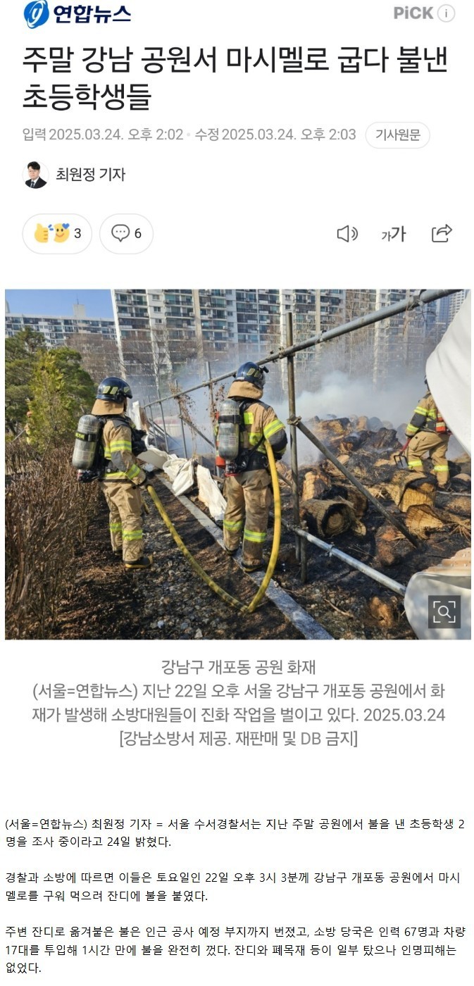 강남 공원서 마시멜로 굽다 불낸 잼민이들