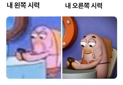 은근히 많다는 양쪽 눈 시력 차이