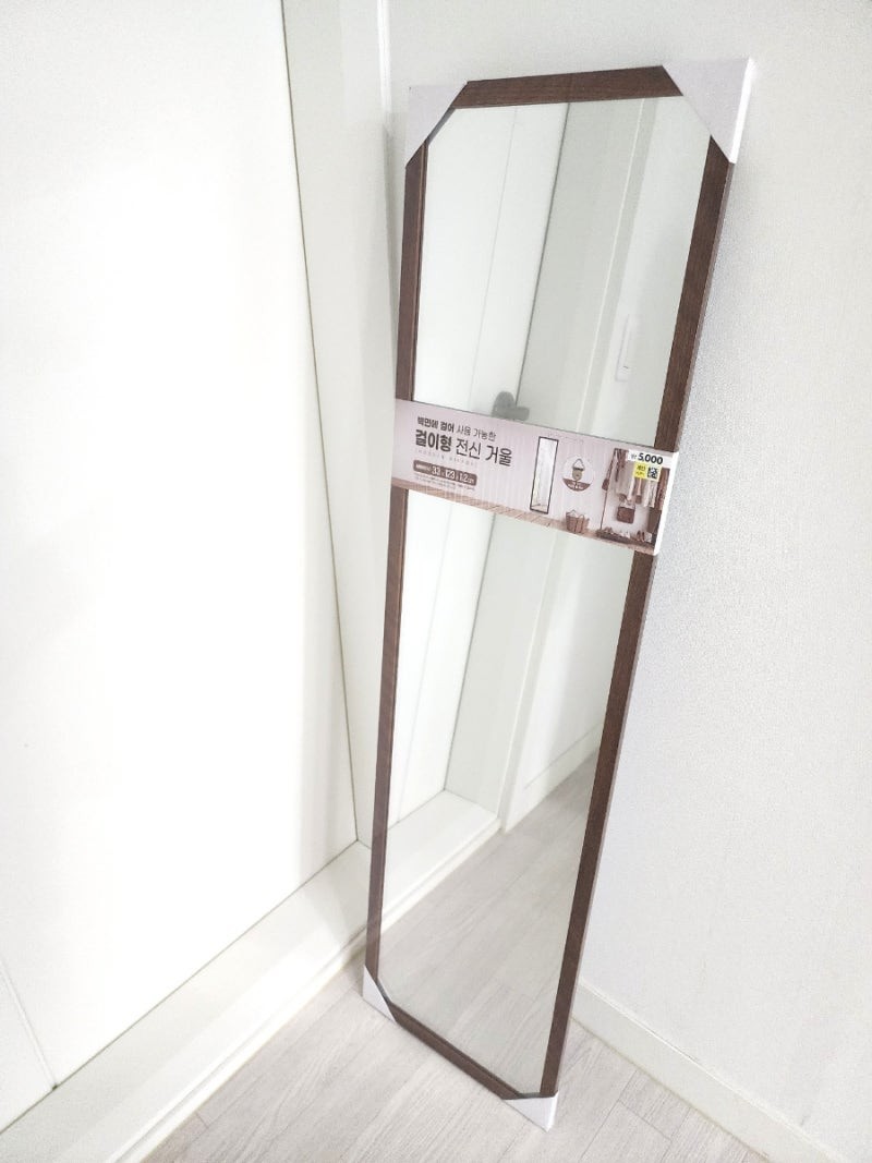다이소에서 파는 전신 거울 가격