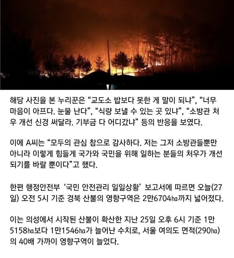산불 진화한 소방관님들의 저녁식사 -4