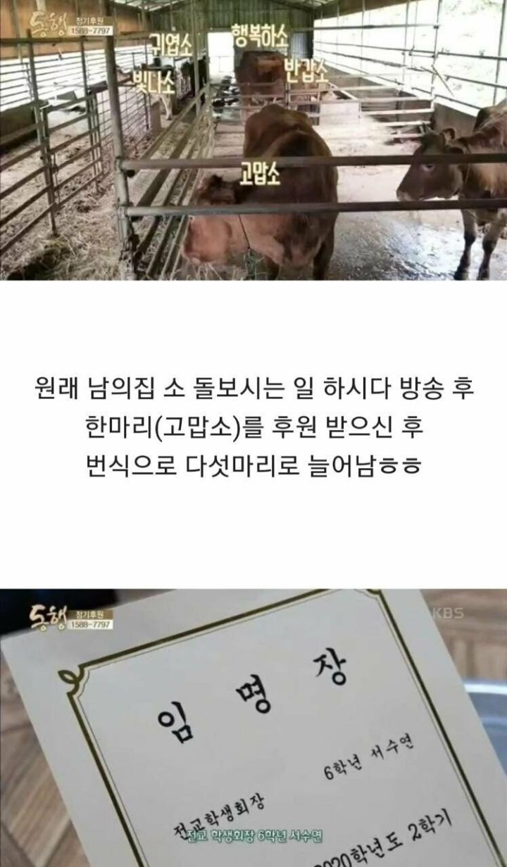 4년전 방송 되었던 뇌성마비 아버지와 9살 딸.. 근황-19