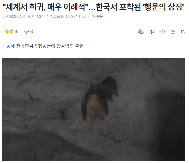 '세계서 희귀, 매우 이례적' 한국서 포착된 '행운의 상징' 