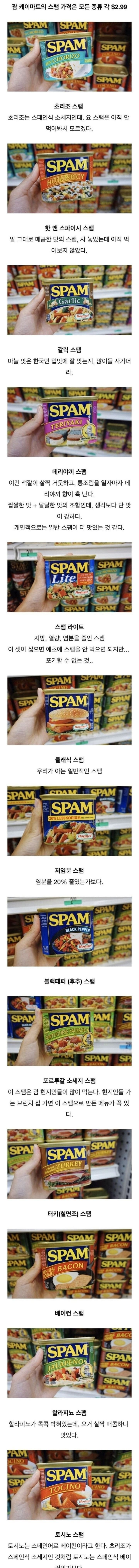 국내도입이 시급하다는 해외의 여러가지 스팸 종류-2