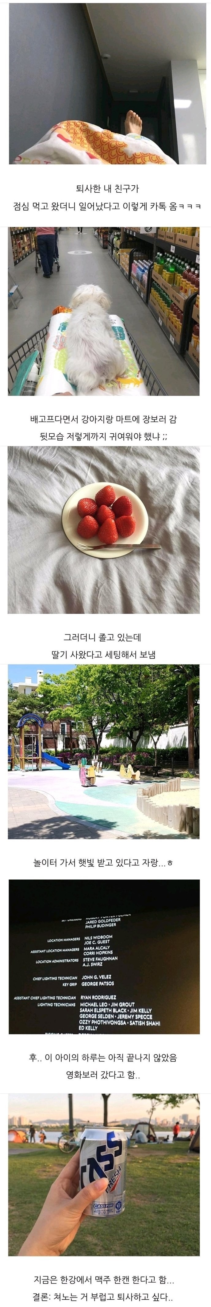 퇴사한 친구가 보내온 일상.jpg