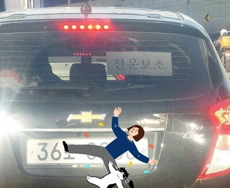 도로에서 무조건 피해야 하는 차량들 ㄷㄷ-5