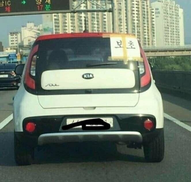 도로에서 무조건 피해야 하는 차량들 ㄷㄷ-6