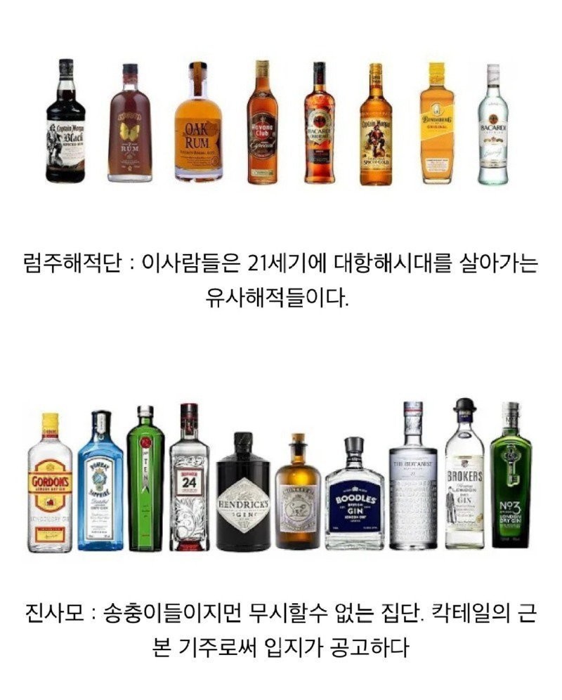 술꾼들 사이에서 나누어져 있는 주종별 파벌소개 -2
