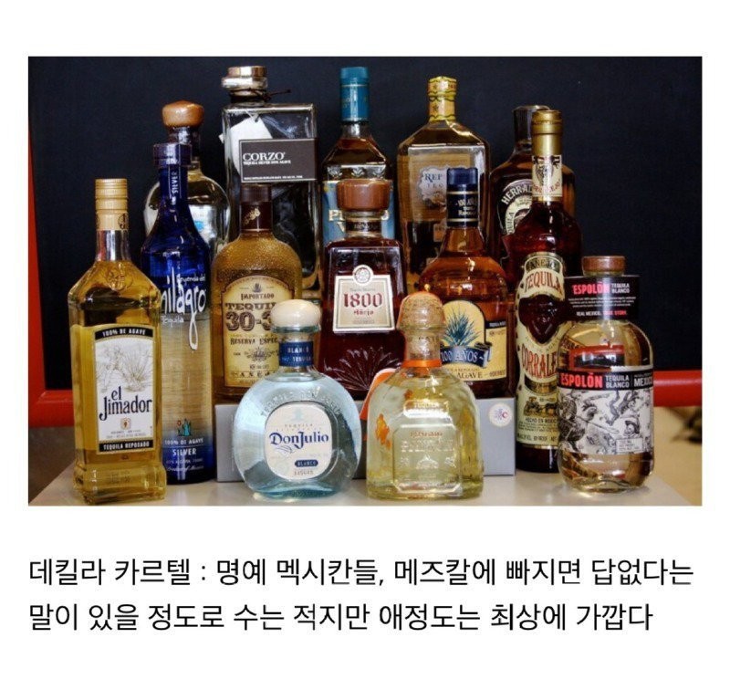 술꾼들 사이에서 나누어져 있는 주종별 파벌소개 -3
