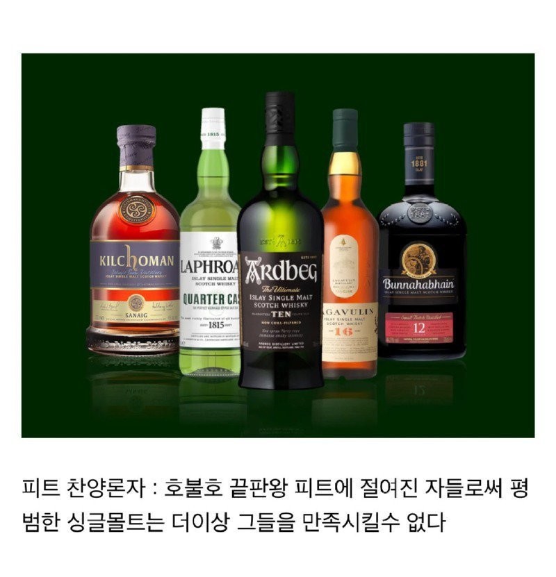 술꾼들 사이에서 나누어져 있는 주종별 파벌소개 -4
